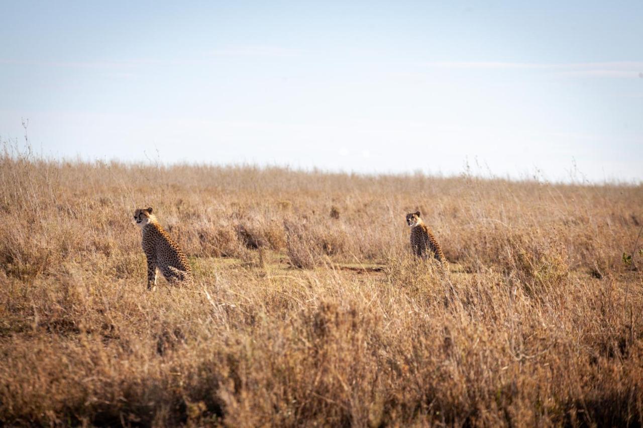 Mawe Tented Camp Serengeti Exterior foto