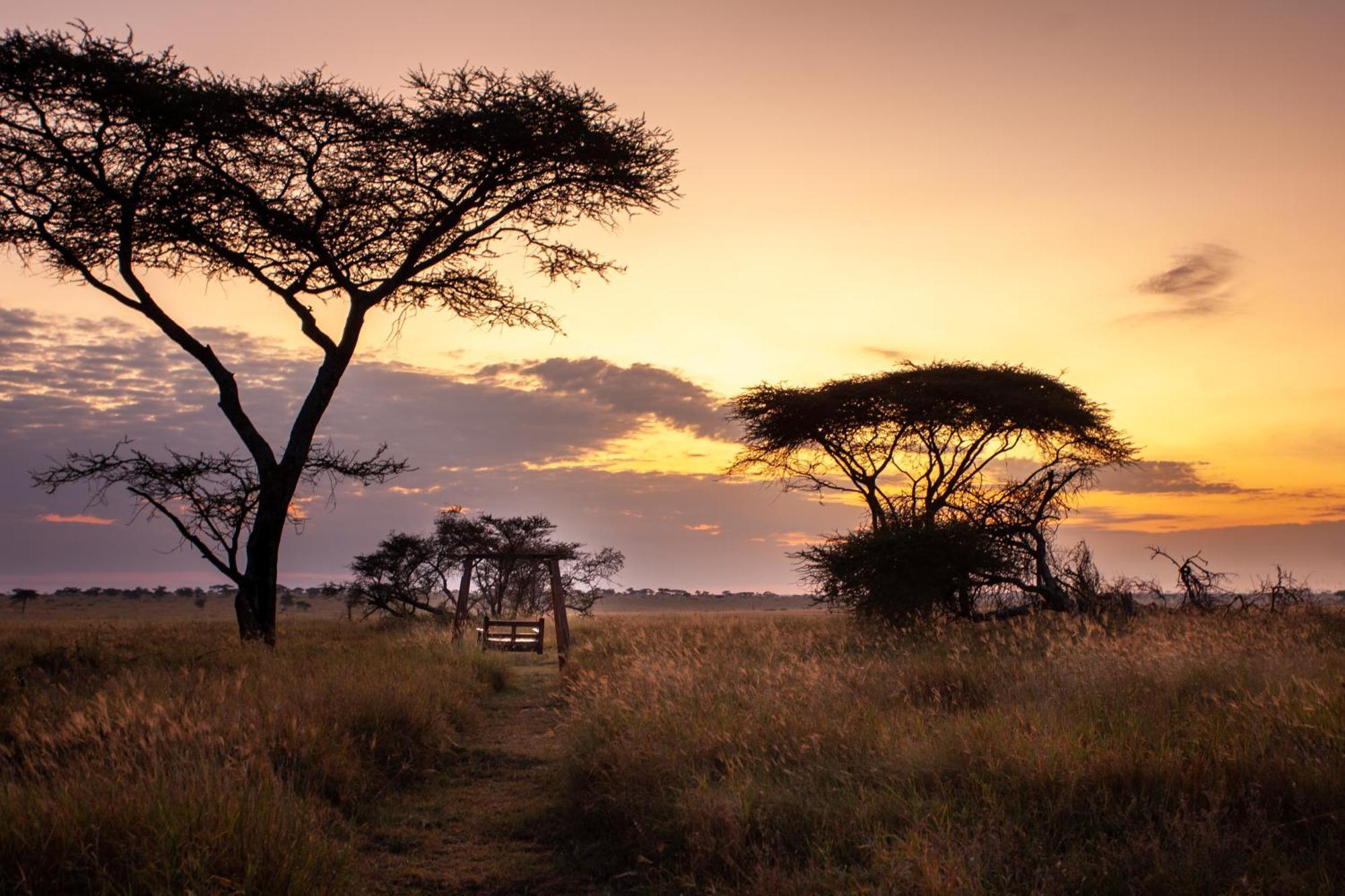 Mawe Tented Camp Serengeti Exterior foto