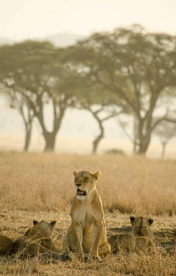 Mawe Tented Camp Serengeti Exterior foto